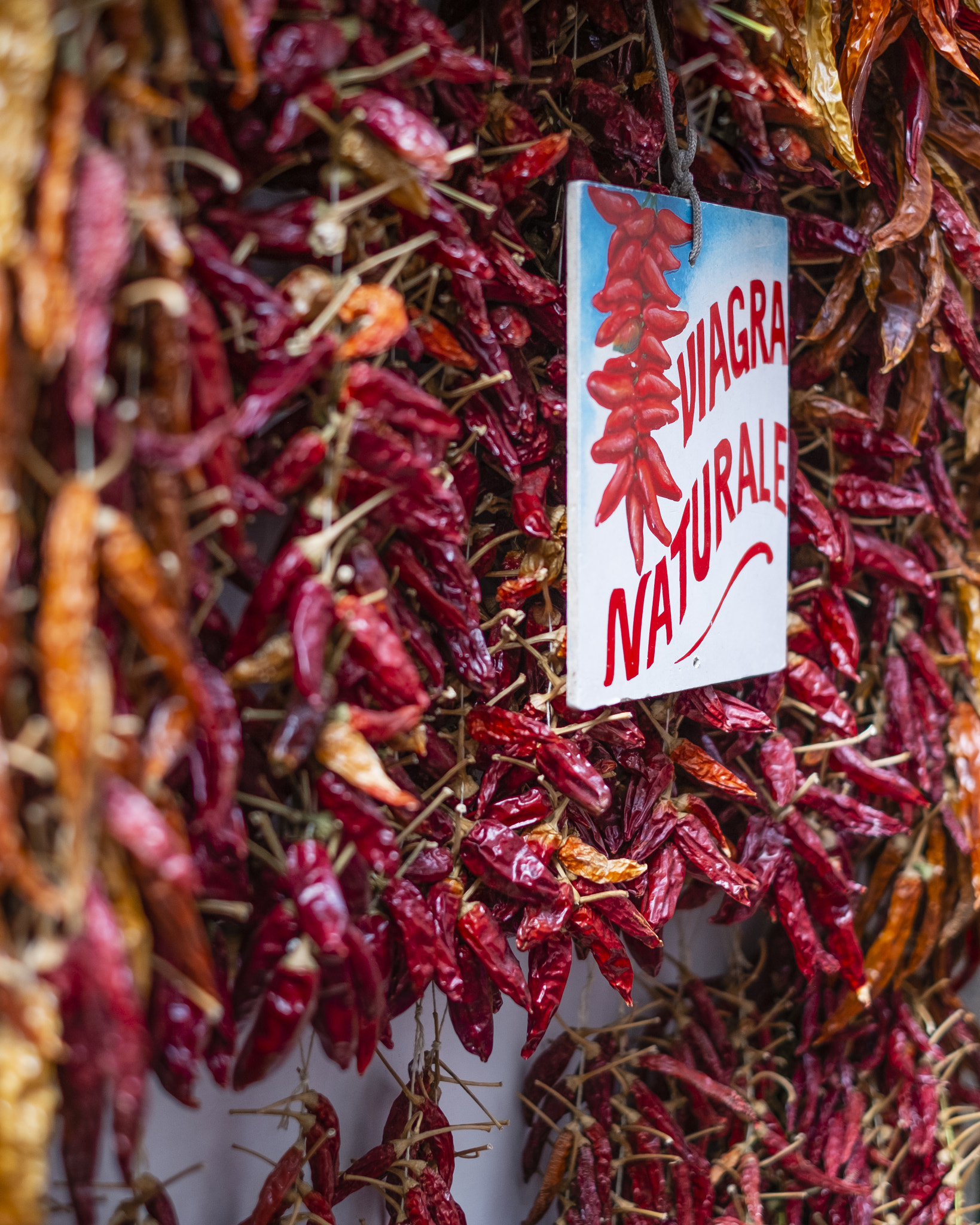 Dried Chili Peppers