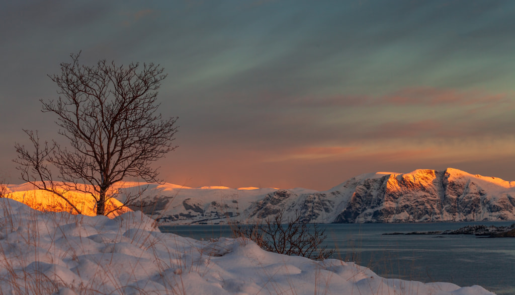 Winterlight by Rune Askeland on 500px.com