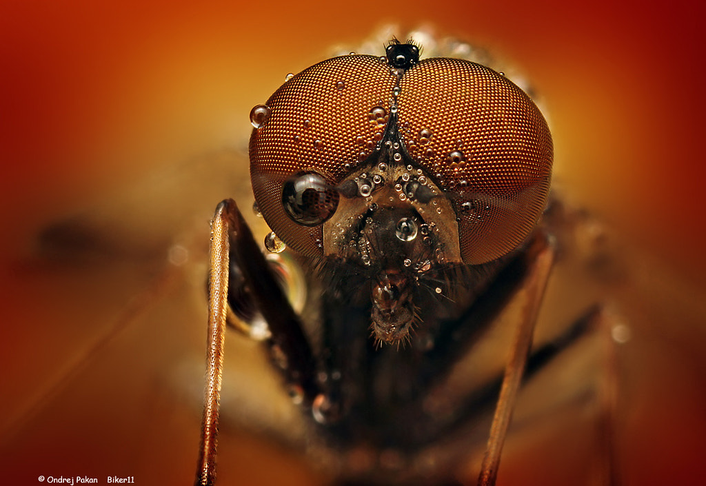 From hell by Ondrej Pakan on 500px.com