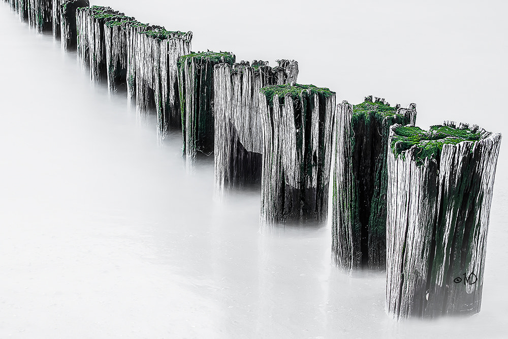 Little Groynes