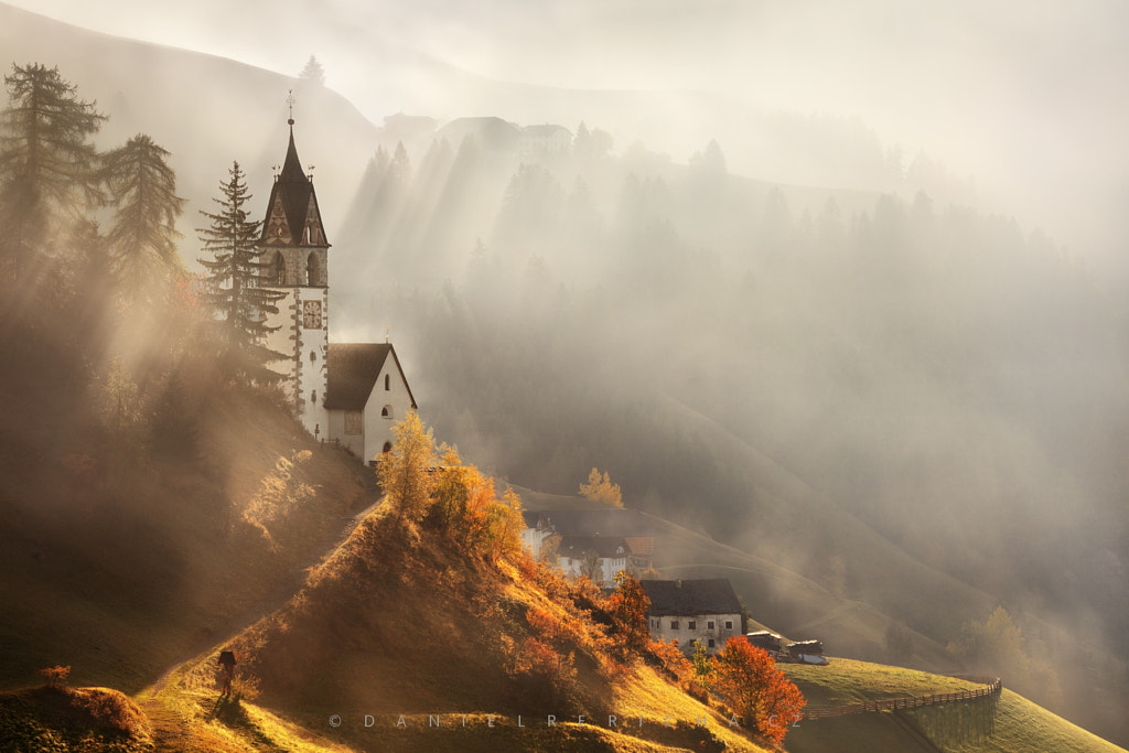 Golden morning... by Daniel Řeřicha on 500px.com