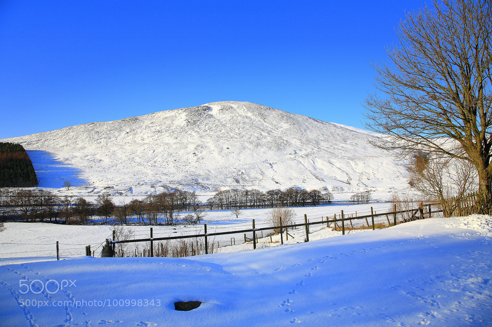 Canon EOS 5D sample photo. Untitled photography