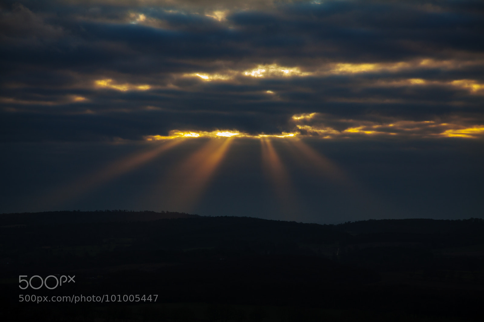 Canon EOS 5D Mark II sample photo. Untitled photography