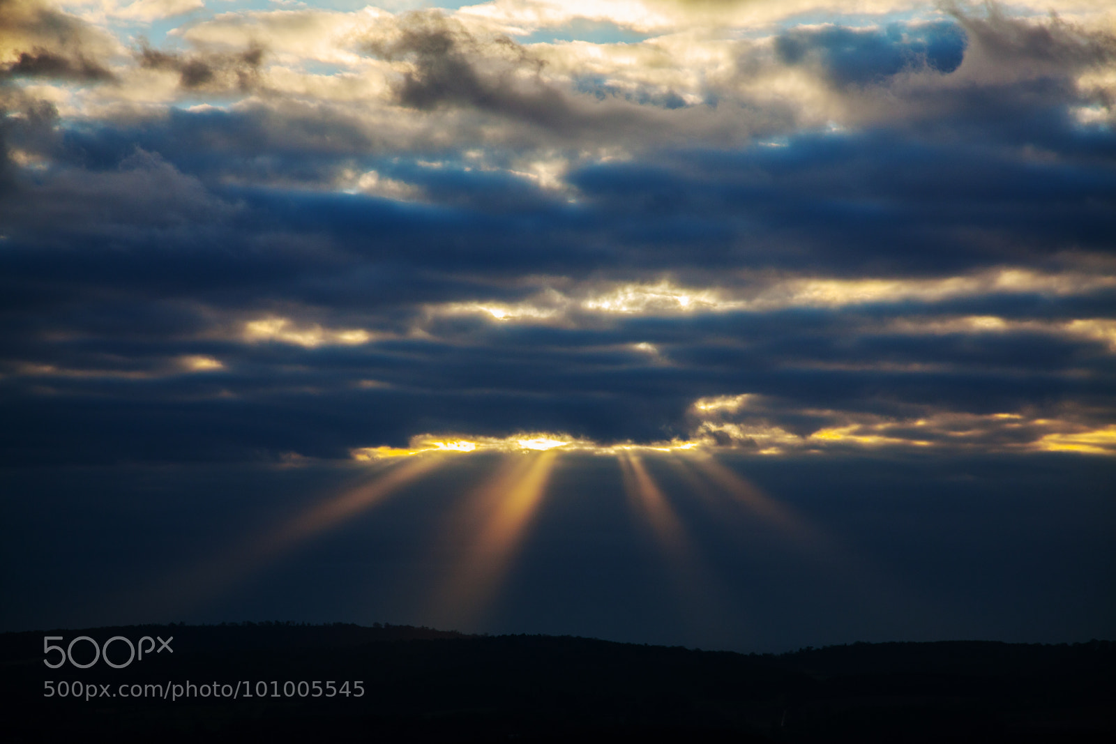 Canon EOS 5D Mark II sample photo. Untitled photography
