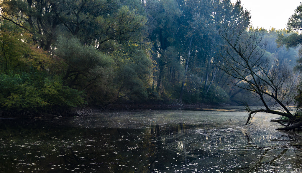 Szigetköz by Kaszás Gyula on 500px.com