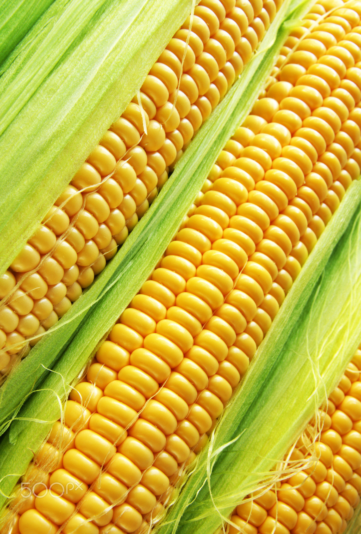 Corn
