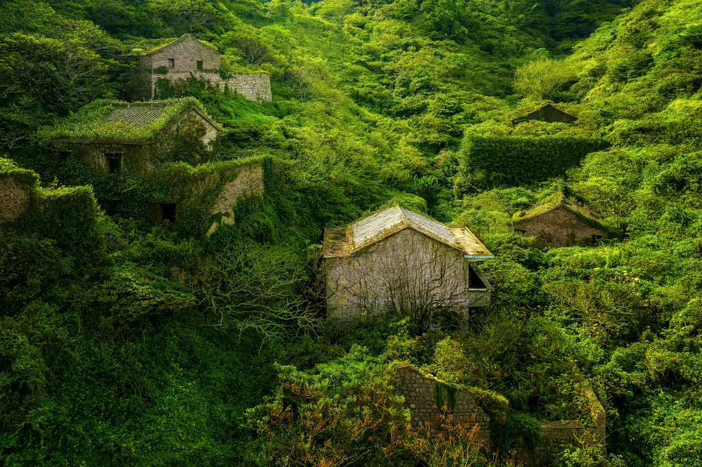 The green Atlantis by Thomas Mueller on 500px.com