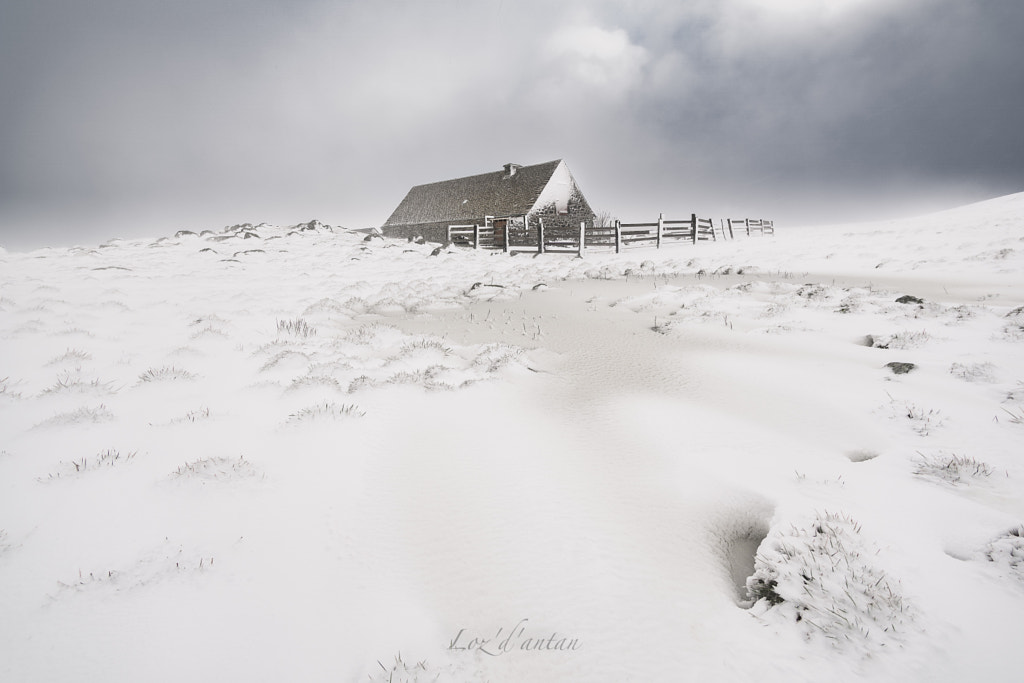 Aubrac by Oli Wood on 500px.com