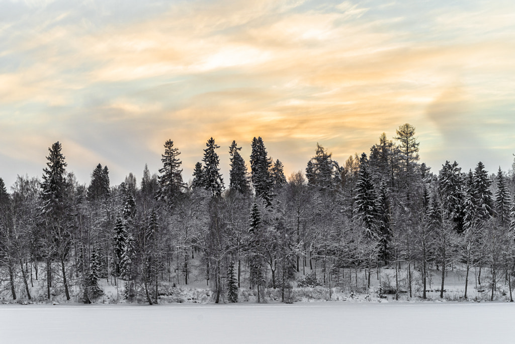 Winterscape from Hameenlinna by Markus Kauppinen on 500px.com