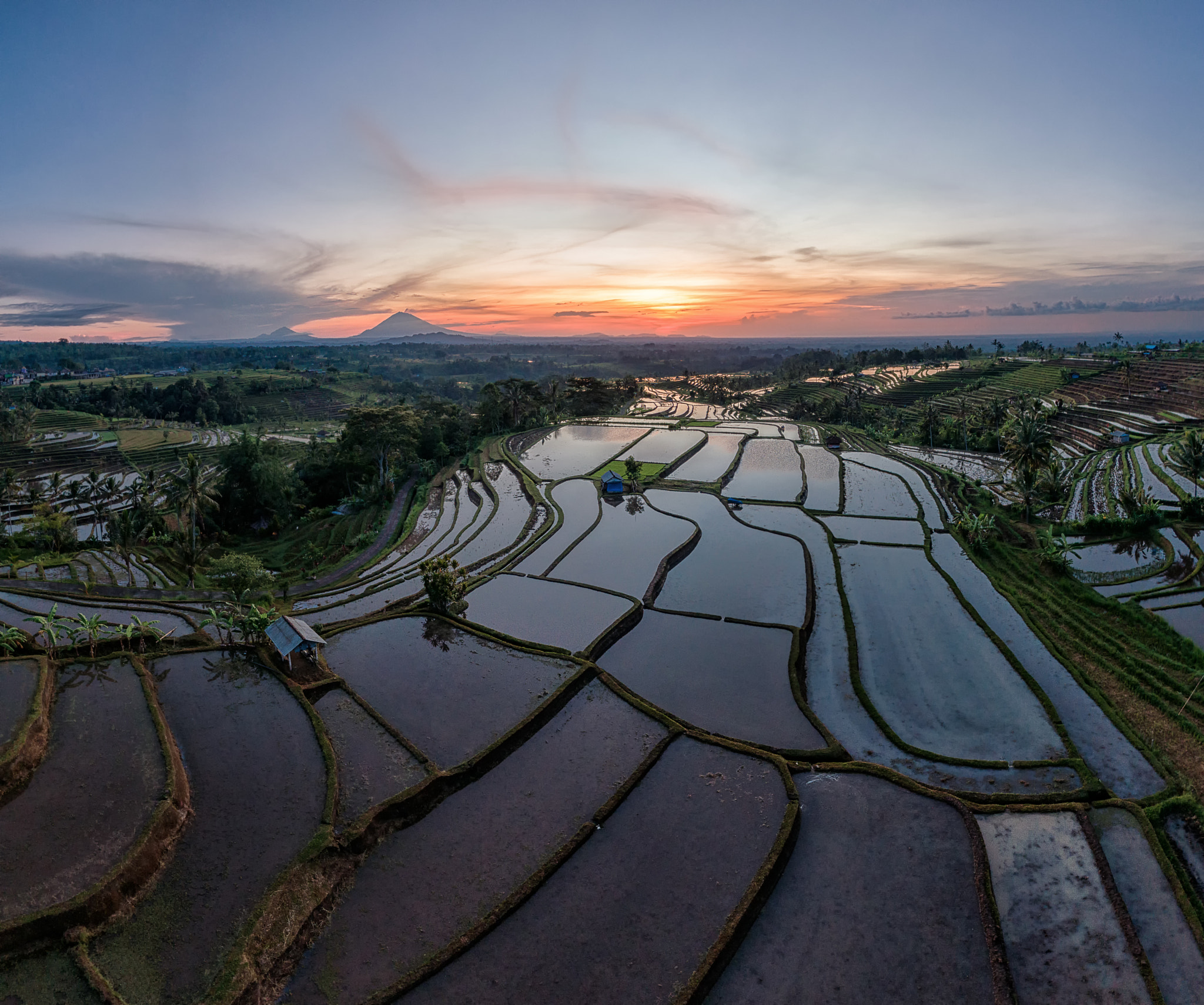 Aerial of Jatiluwih rice fields with Volcano Agung, Bali, Indonesia