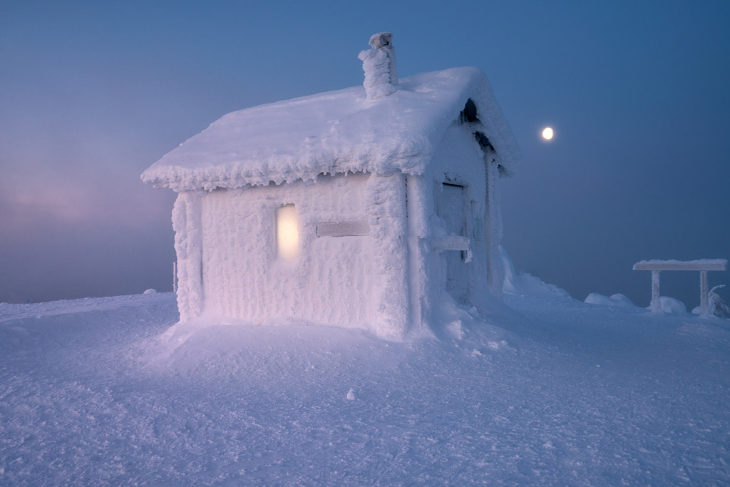 In the winter hugs by Andrew Bazanov on 500px.com