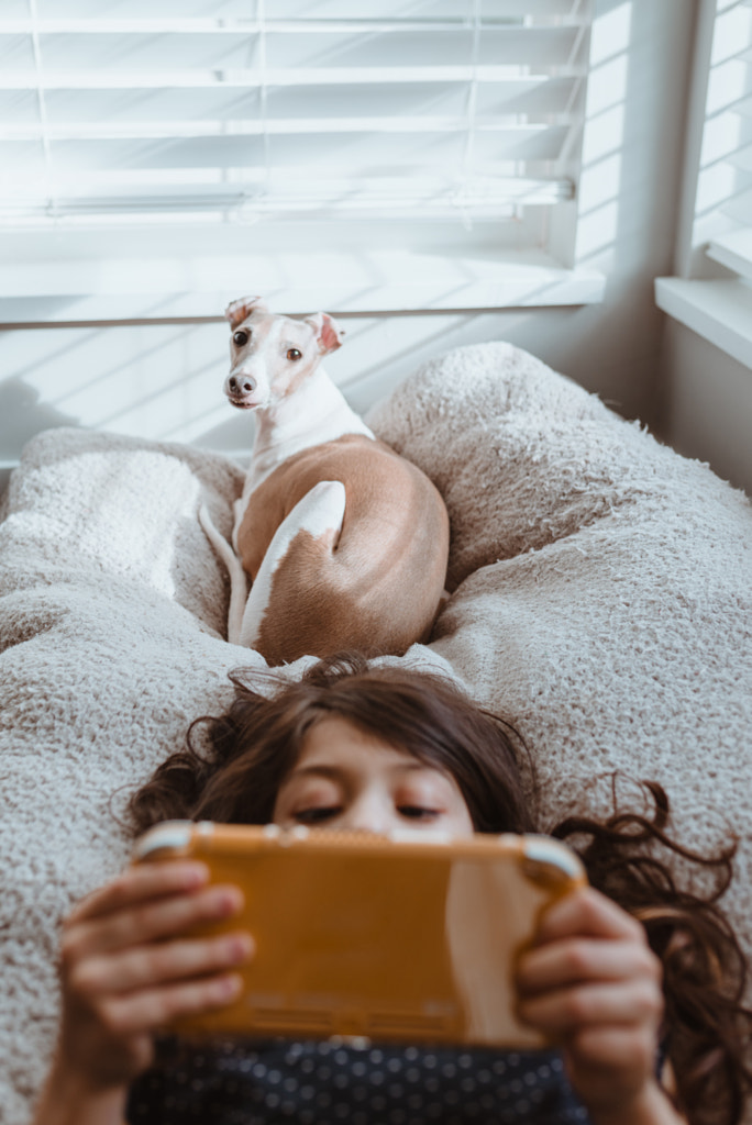 Games with the family dog by Marvin Herrera on 500px.com