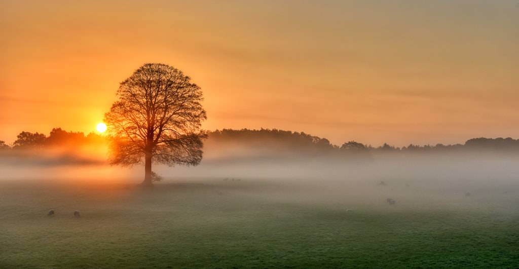 Let the day begin by Mike (snapitnc) Clegg on 500px.com