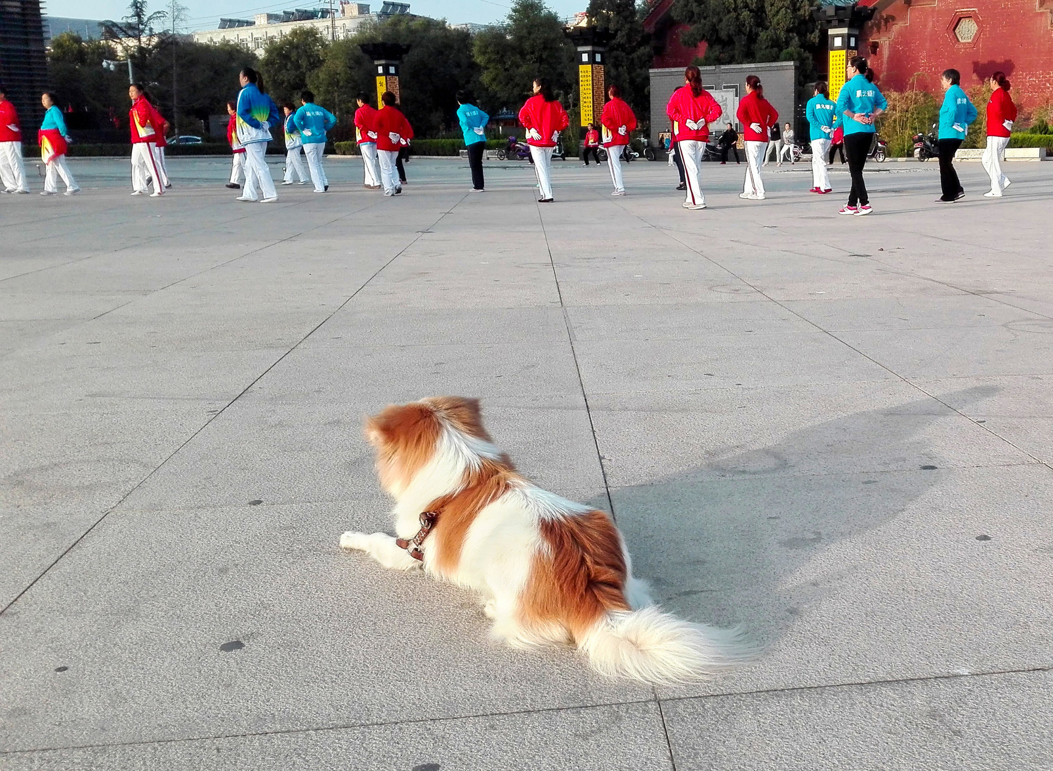 唯一的观众