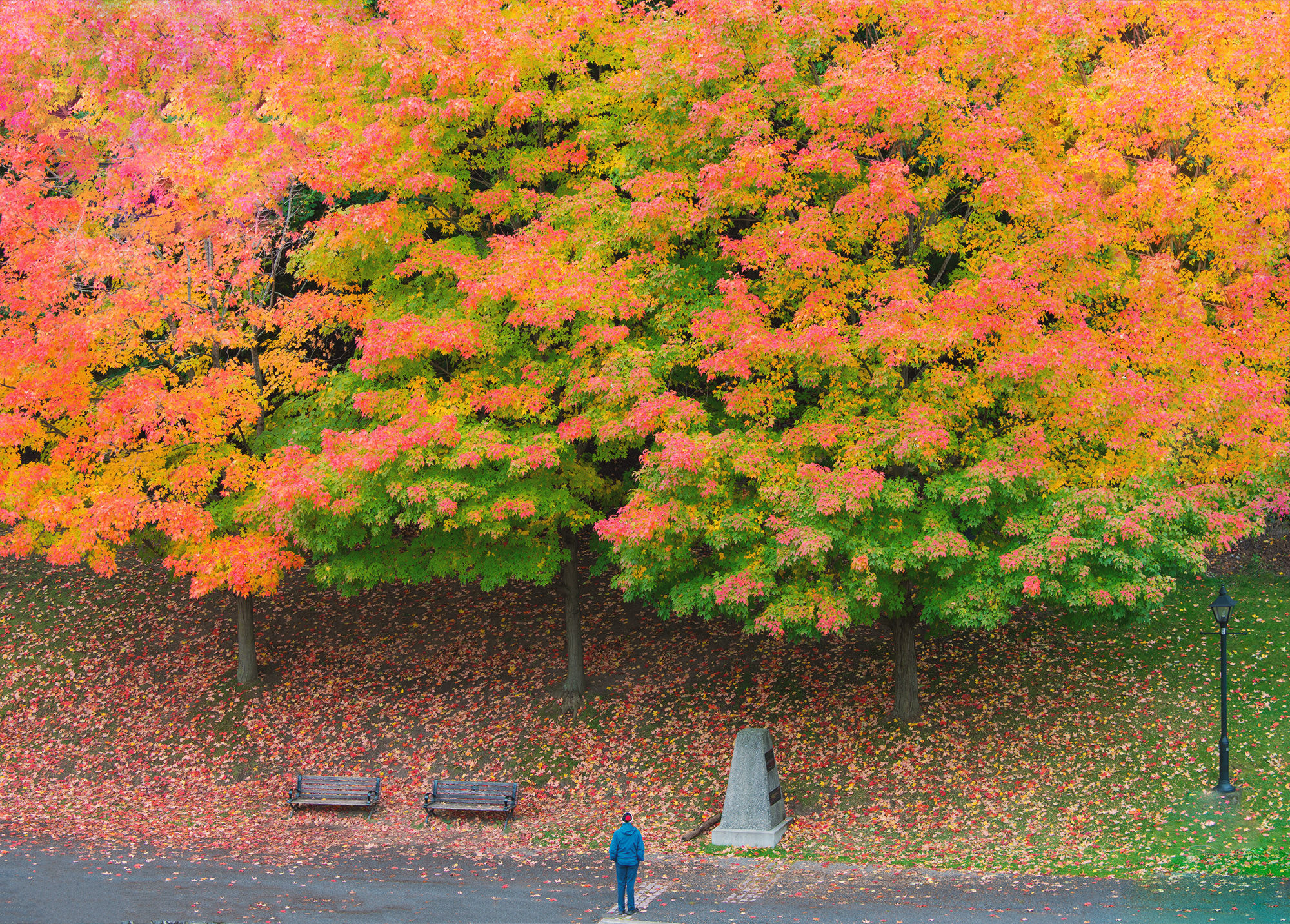 影族 Vcg Jhtphoto Profile 500px