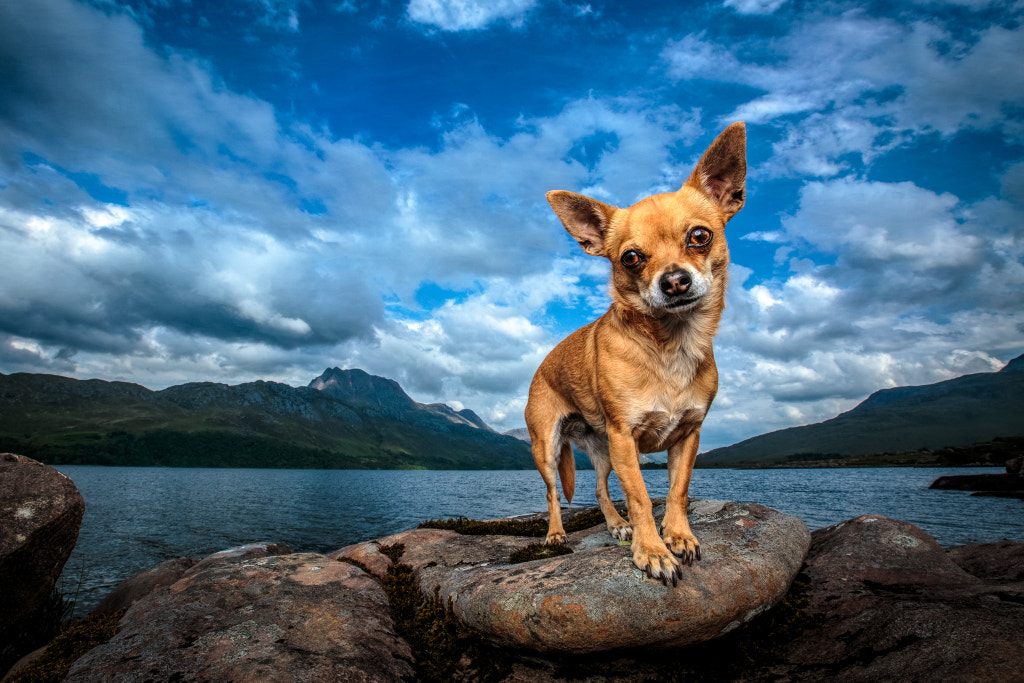 Scottish adventure by Cat Race on 500px.com