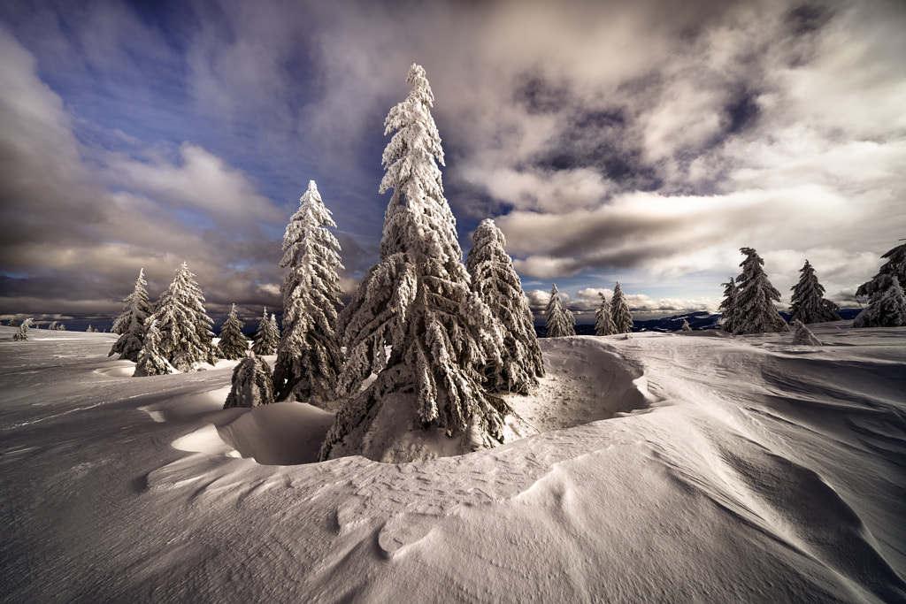 Winter land by Robert Didierjean on 500px.com