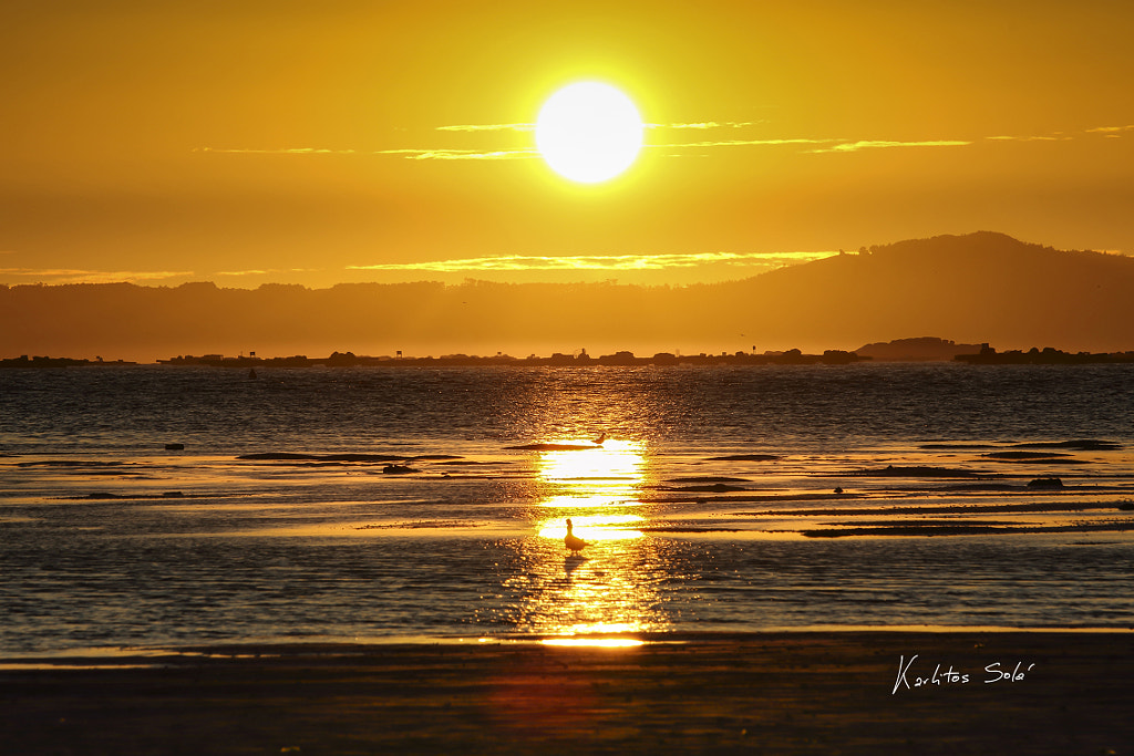 Cambados by Karlitos Solá on 500px.com