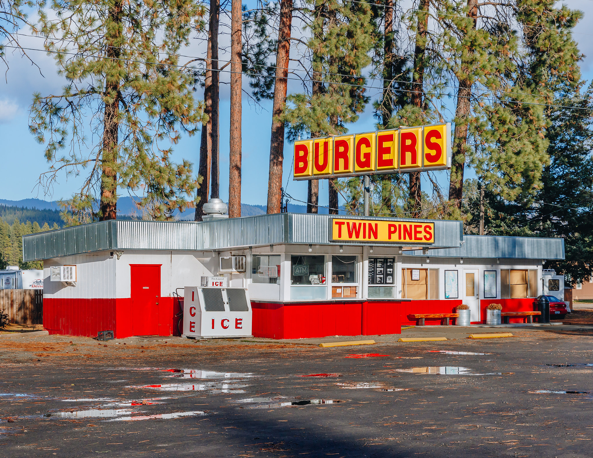 Twin Pines by Hayden Scott / 500px