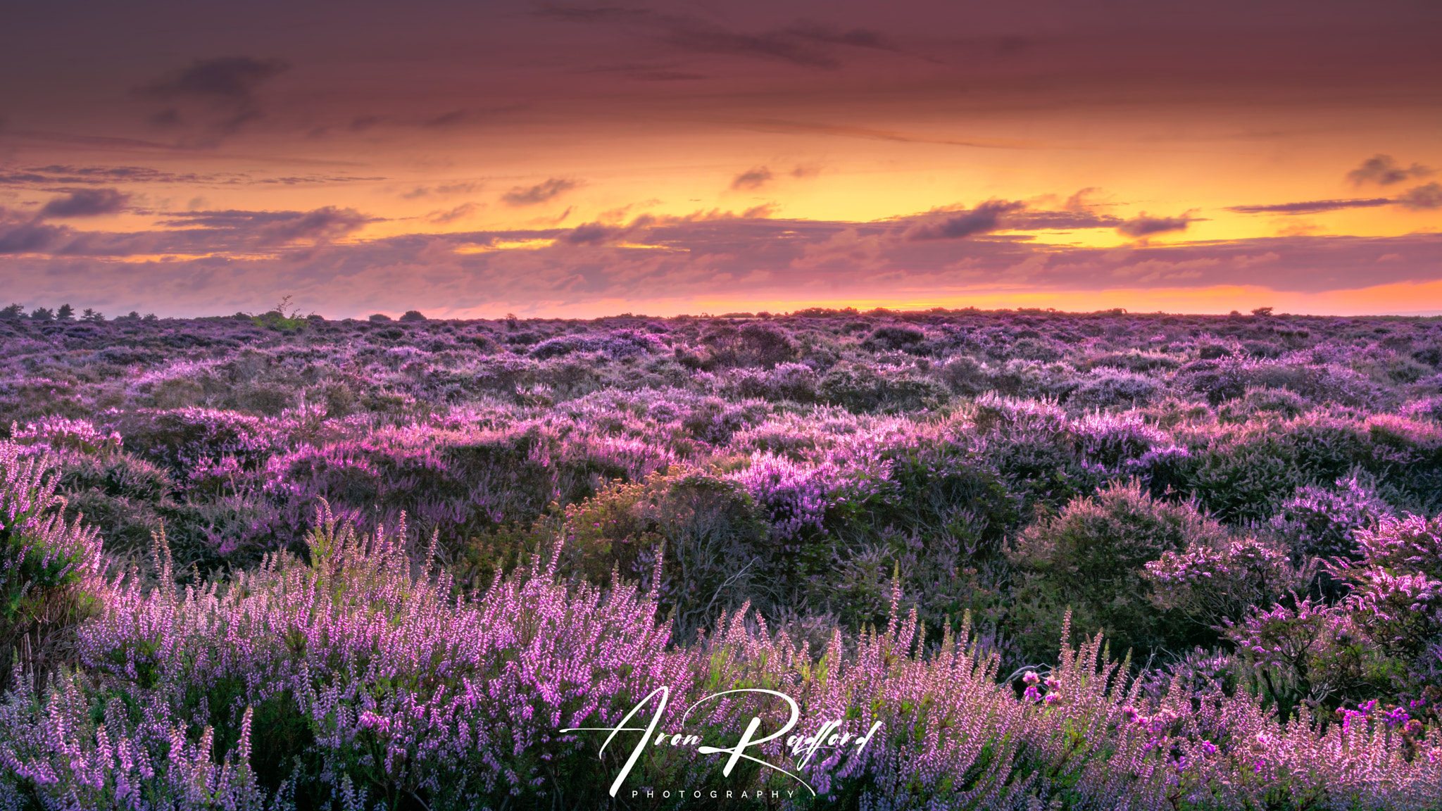 Dunwich Birthday Sunrise