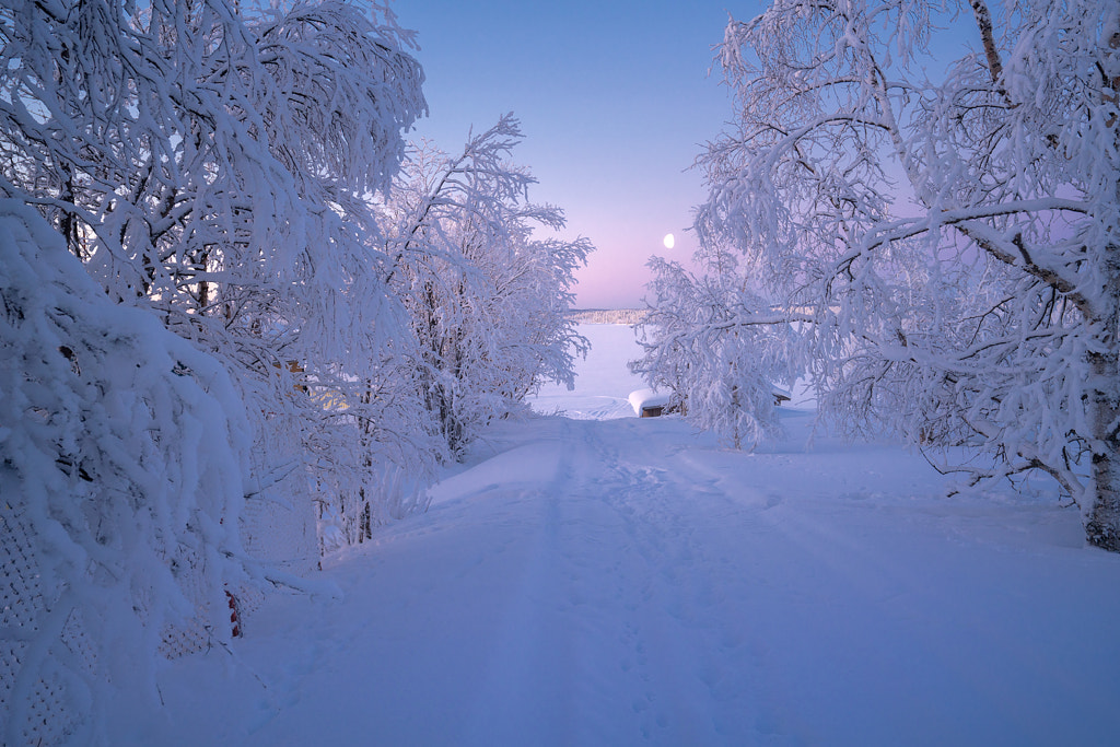 Polar Sweden by Andrew Bazanov on 500px.com