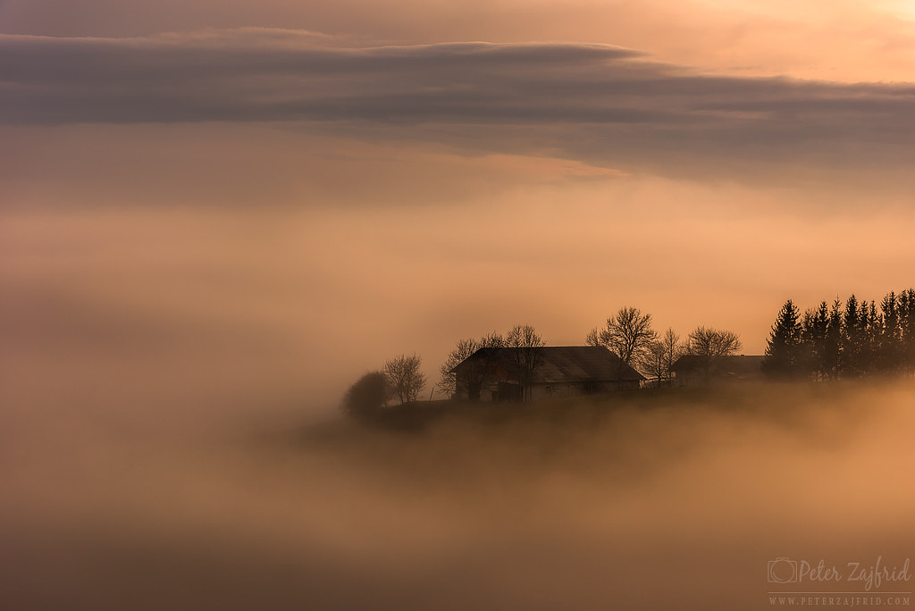 Fogged in  by Peter Zajfrid on 500px.com