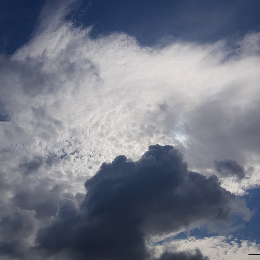 Cloudscape by Elizabeth Fitzgerald on 500px.com
