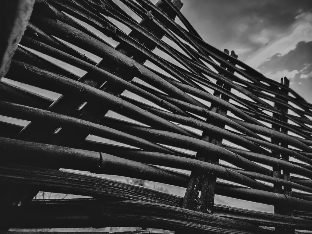 Sustainable Bamboo wall by Jayashankar Majhi on 500px.com