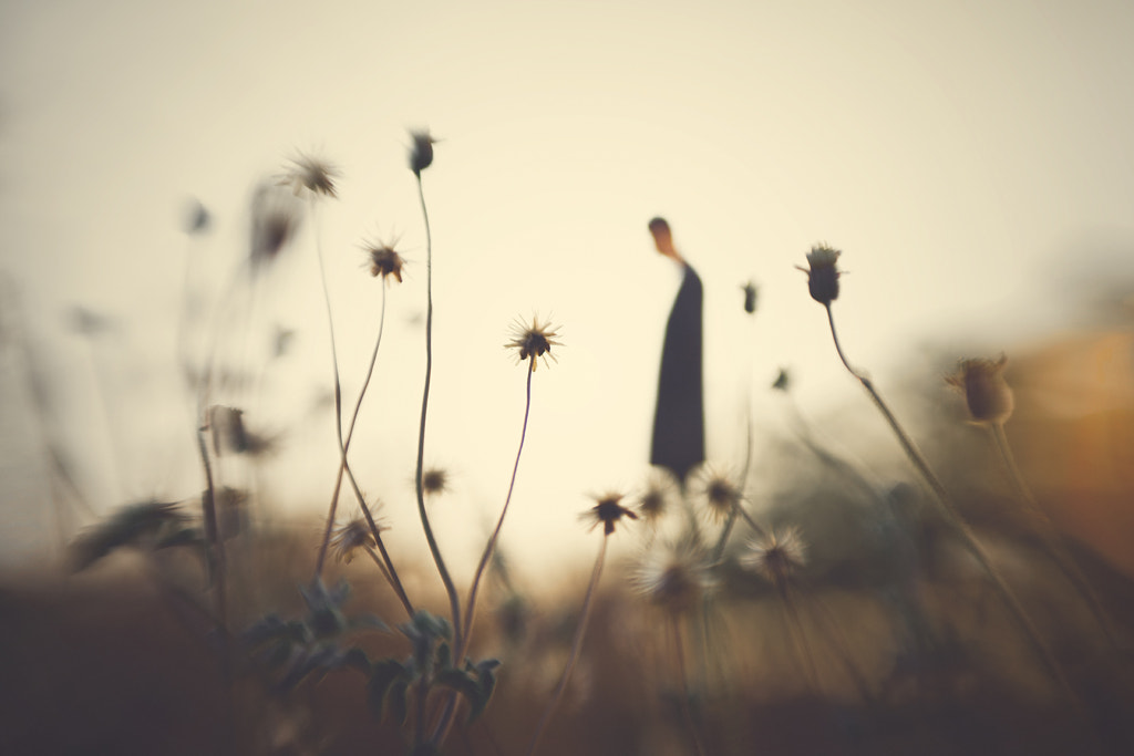 A Tale Of Loneliness  by Hengki Lee on 500px.com