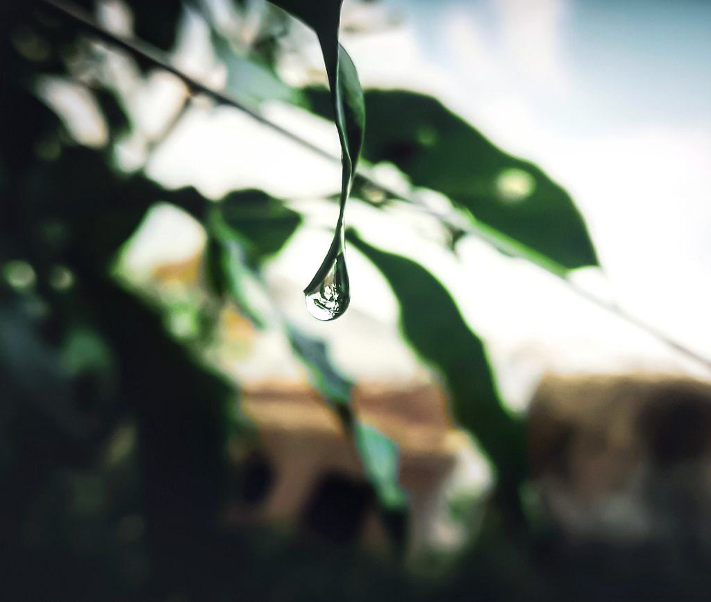 The droplet by Jayashankar Majhi on 500px.com