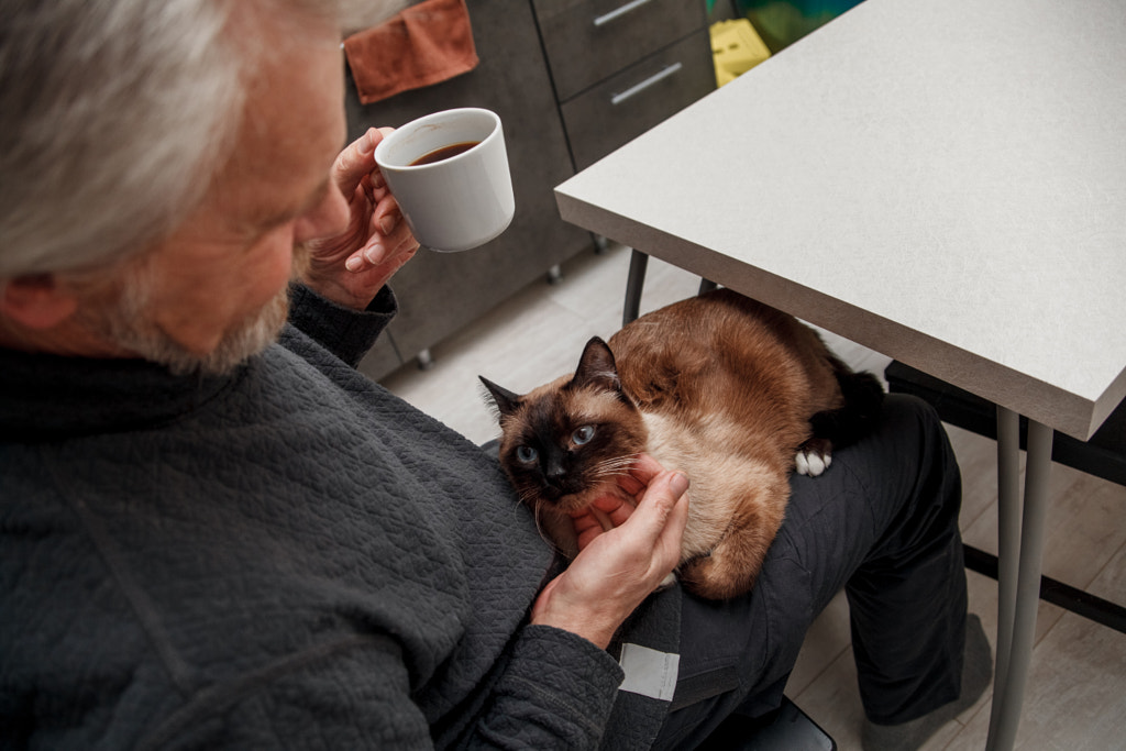 Coffee with a Siamese cat by Denis Ganenko on 500px.com