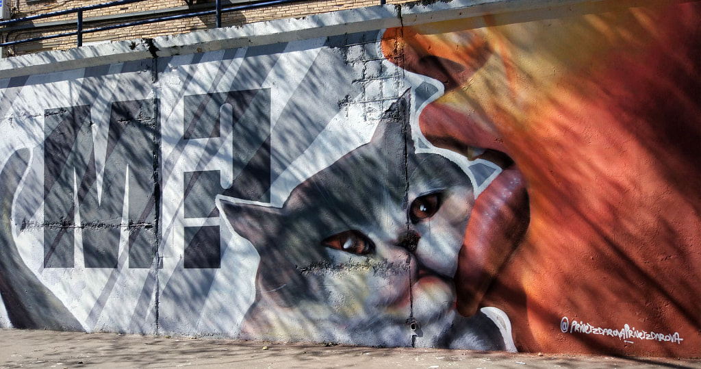 Untitled by elena (kekssa) on 500px.com