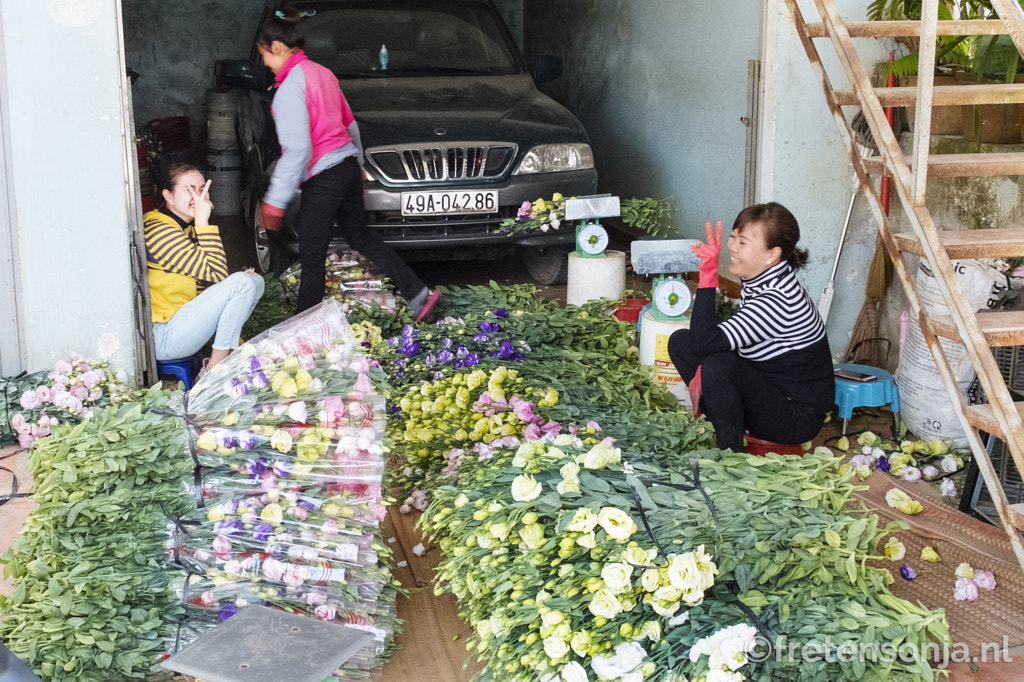 Untitled by www.fretensonja.nl on 500px.com