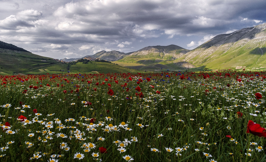 Castelluccio by Nicola Di Nola  on 500px.com