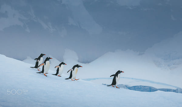 Descent  by David Merron on 500px.com