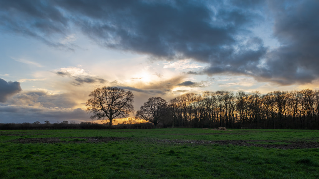 IMAGE: https://drscdn.500px.org/photo/1011852898/m%3D900/v2?sig=8b77530567bc44d0c8815f3c7bcbac28b7819ef3fabbe978c4c77af72749f6b2