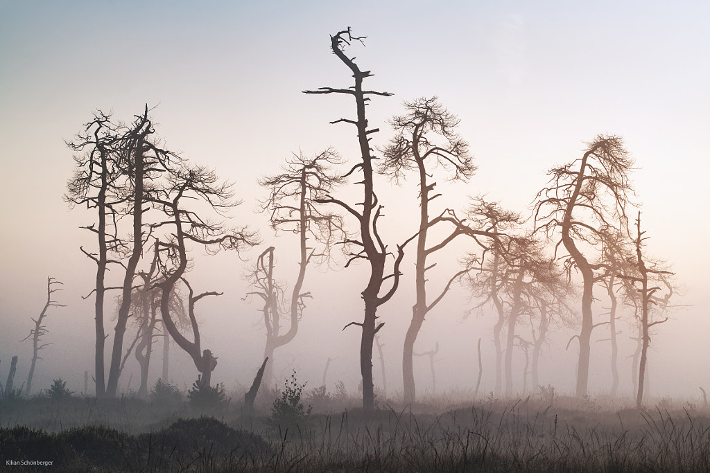 Danse Macabre by Kilian Schönberger on 500px.com