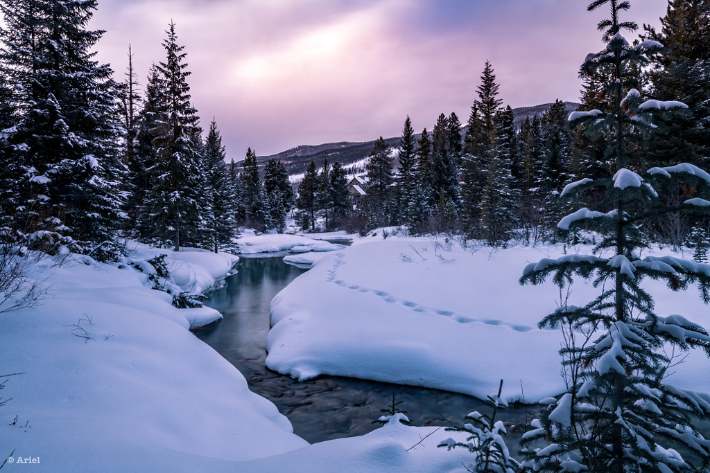 Spring Water in Snow by Ariel  on 500px.com