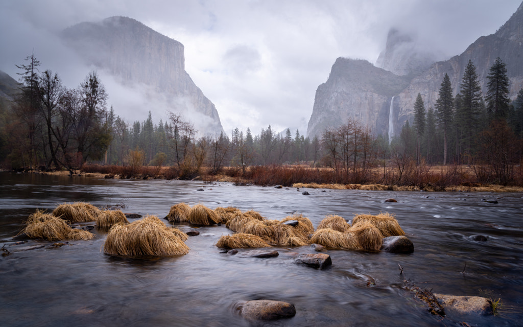 Spirit of the Fog by Patrick Prager on 500px.com