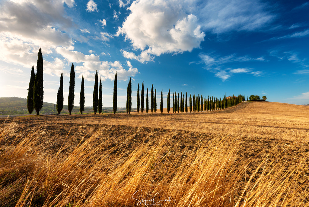 Orcia Valley by Stefano Caporali on 500px.com