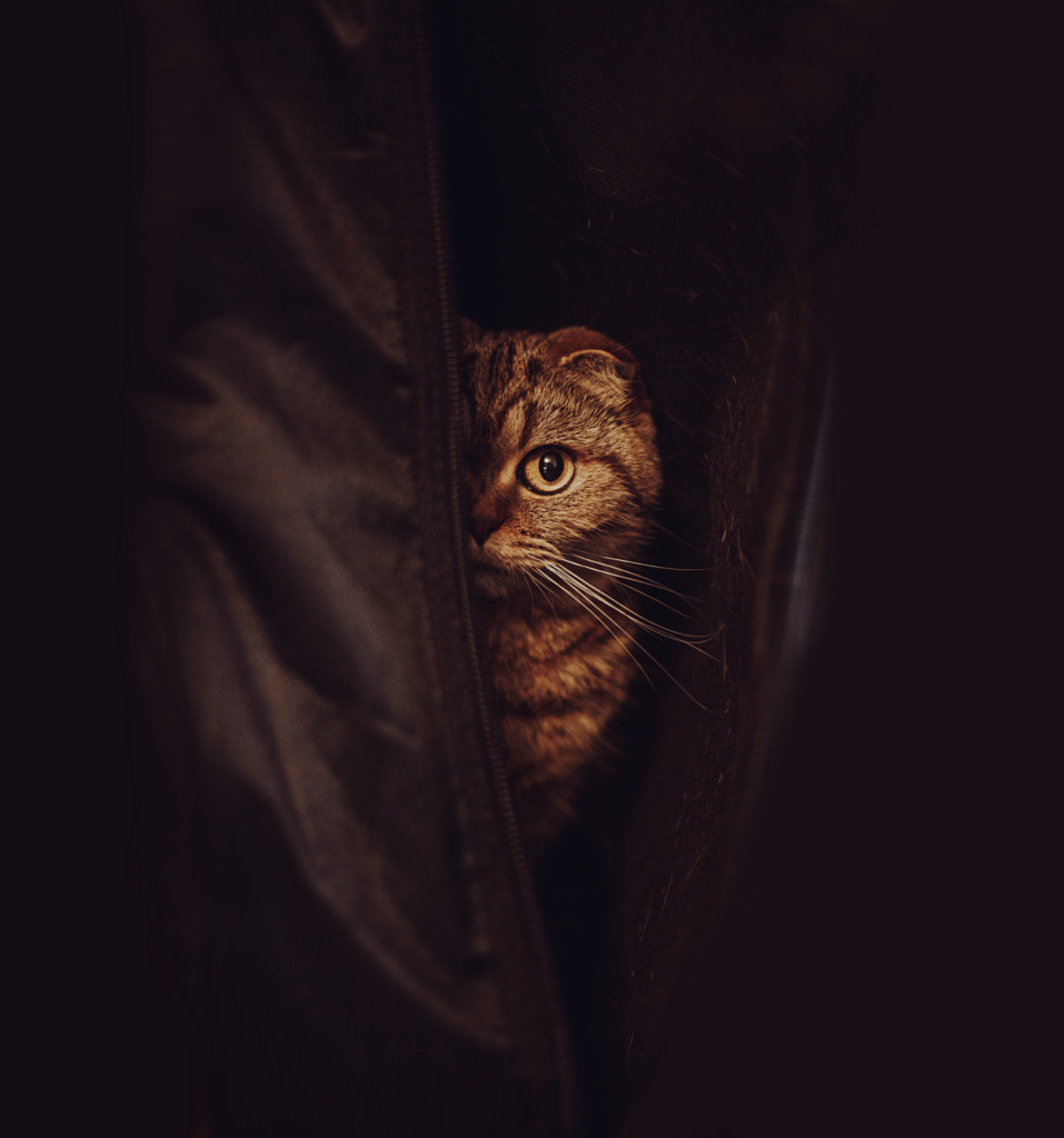 a mystery by Taya Iv on 500px.com