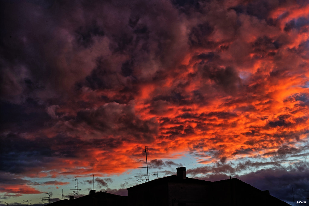 Virulent evening by Yuturjpd  on 500px.com