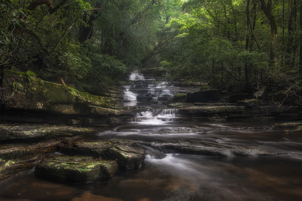 Goddess of Nature by Sulakkhana Chamara on 500px.com