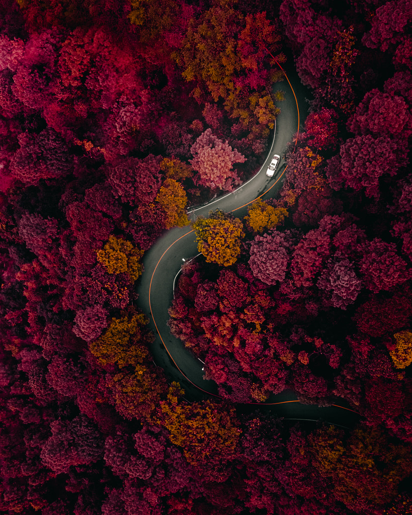 Curvy Road in Dark Forest by Vitaly Tyuk on 500px.com