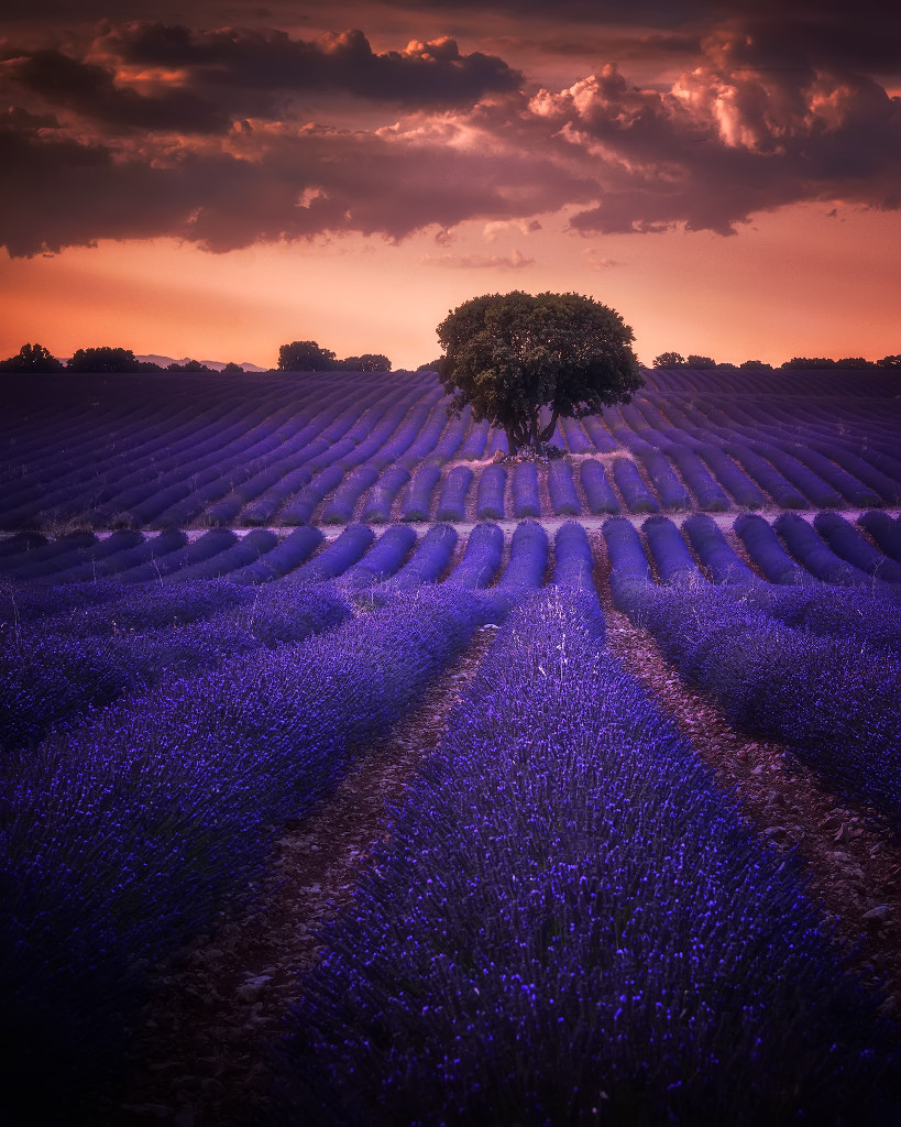 Brihuega by Jose Luis Lindo on 500px.com