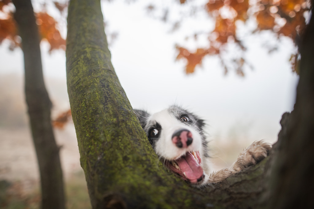 Still smiling by Iza Łysoń on 500px.com