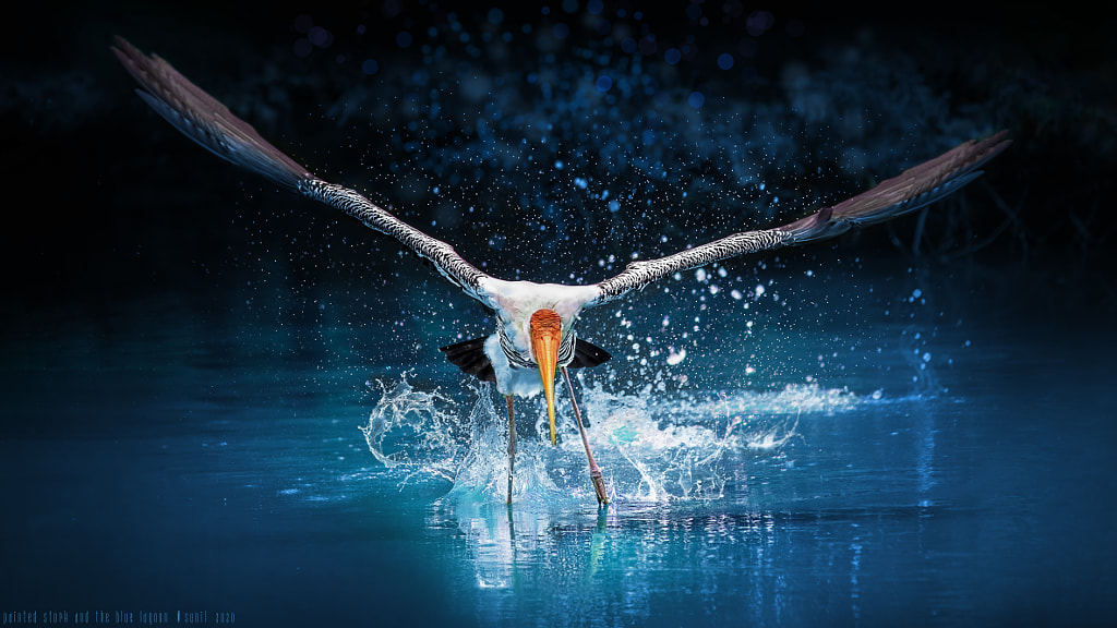 The Blue Splash ! by Sunil  on 500px.com