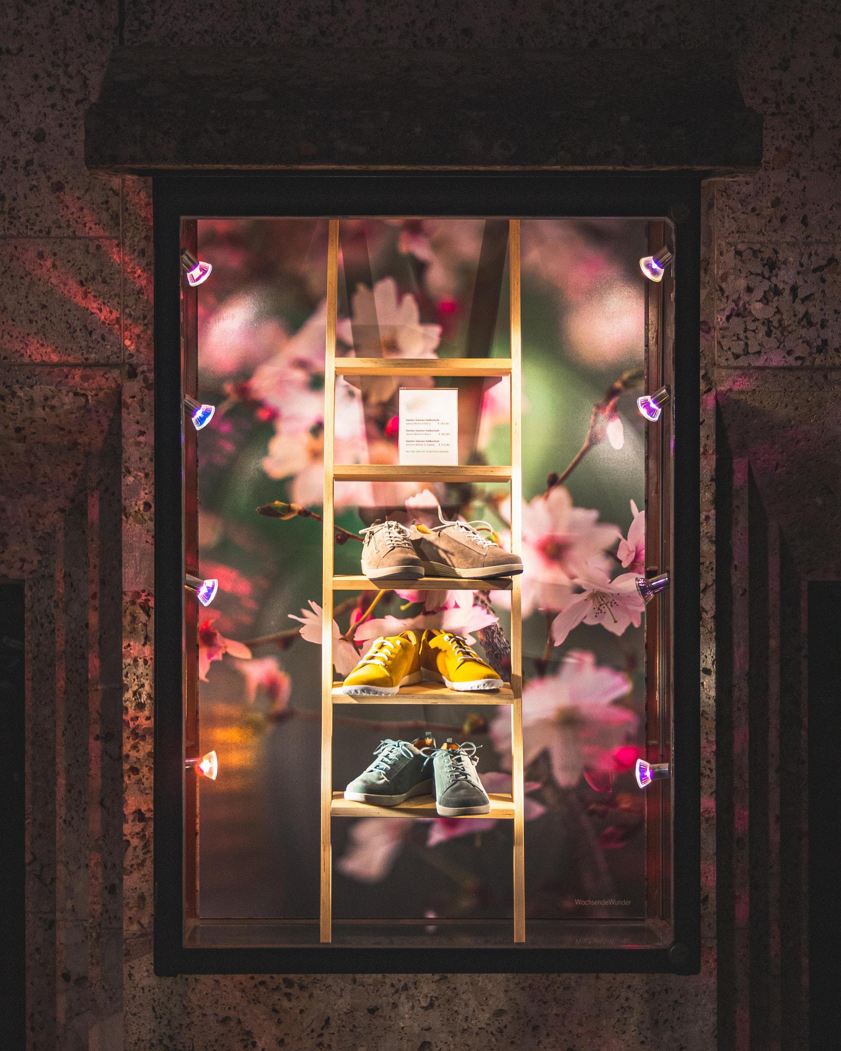 Shoe Cabinet