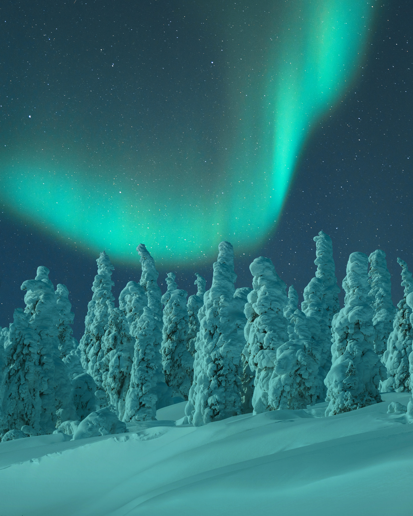 The aurora at 67° north in the Alaskan Arctic