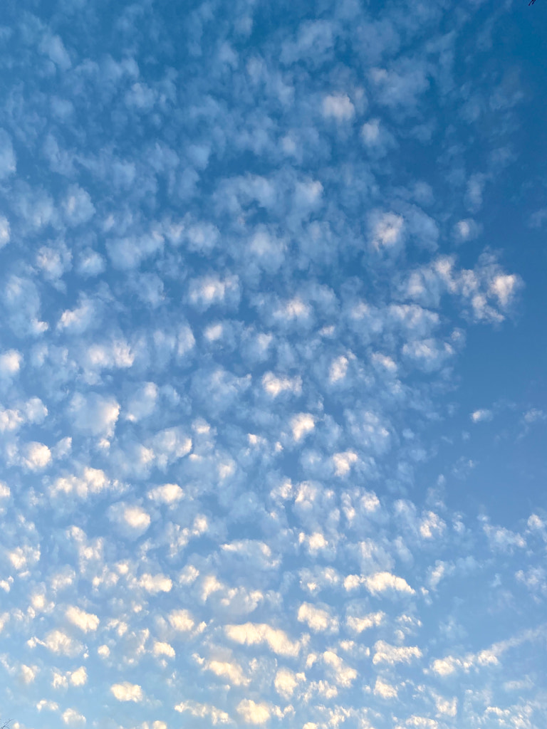 Untitled by Jacqueline and Kevin Reape on 500px.com